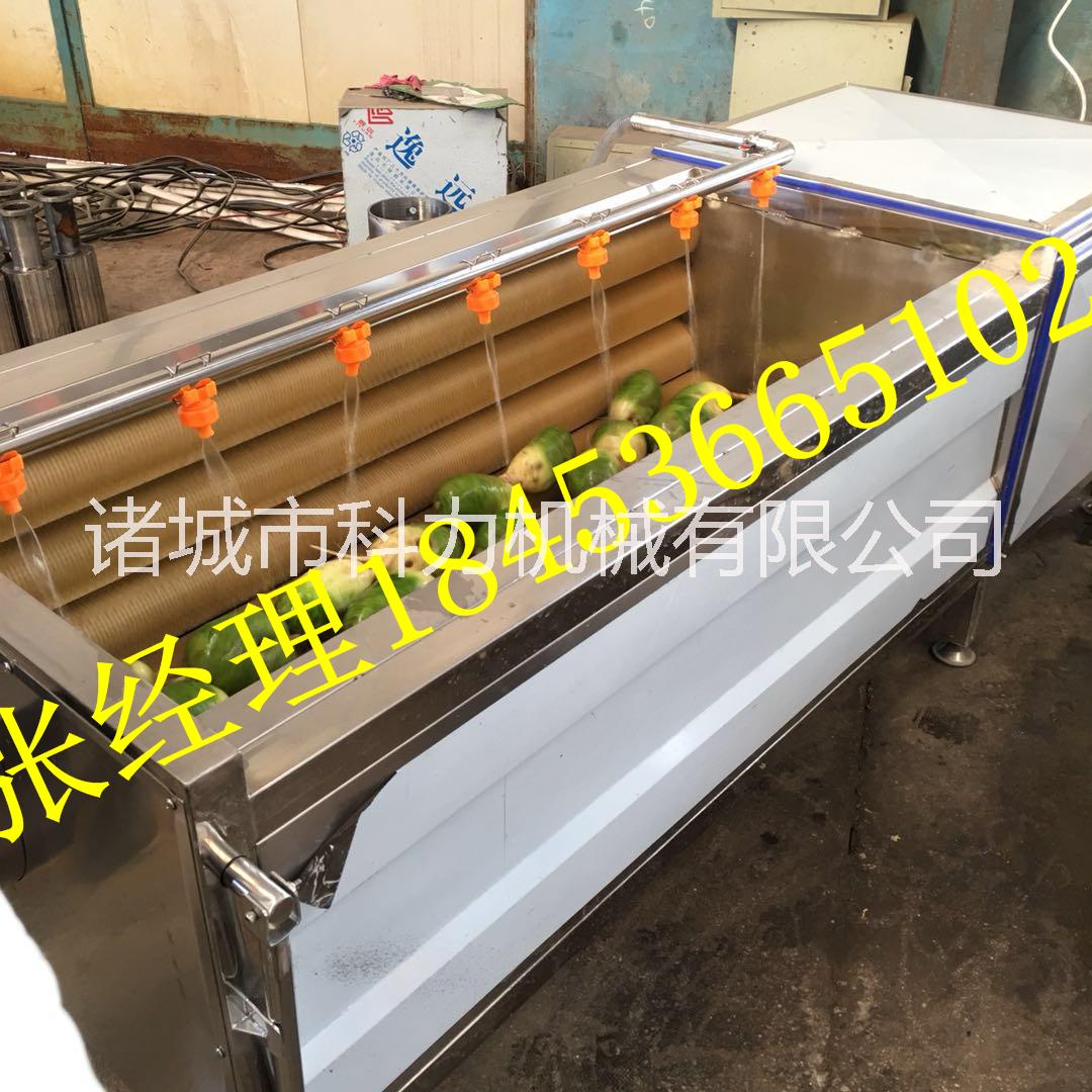 南瓜去皮毛刷清洗機(jī) 豬腳去毛毛輥洗刷設(shè)備 荸薺土豆脫皮機(jī)器 張