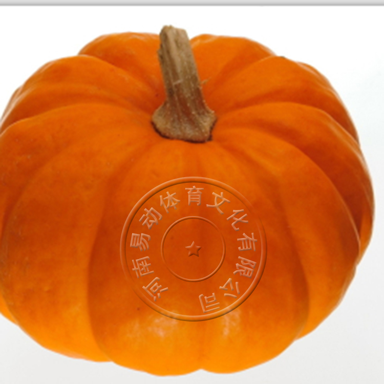 趣味運動會 大豐收 充氣趣味運動玩具 親子運動會道具