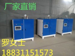 2018新款蒸汽發(fā)生器