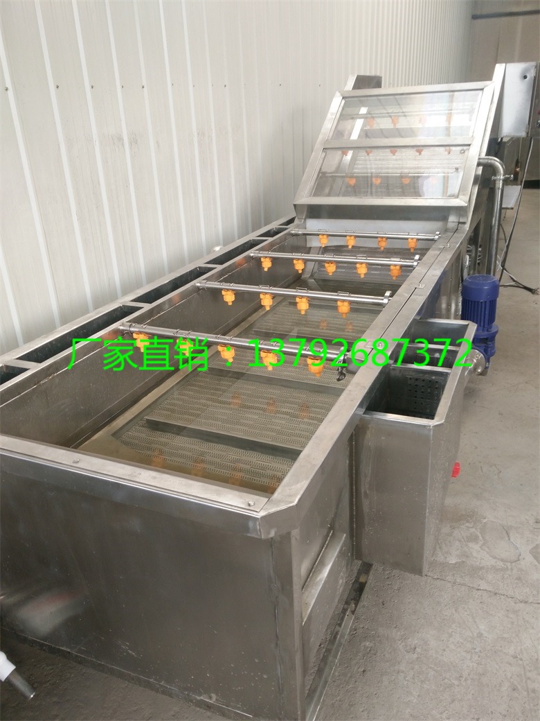 氣泡蔬菜清洗機 凈菜加工流水線 山楂橘子翻浪清洗機