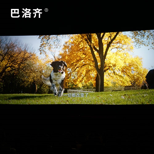 專業(yè)投影漆 巴洛齊