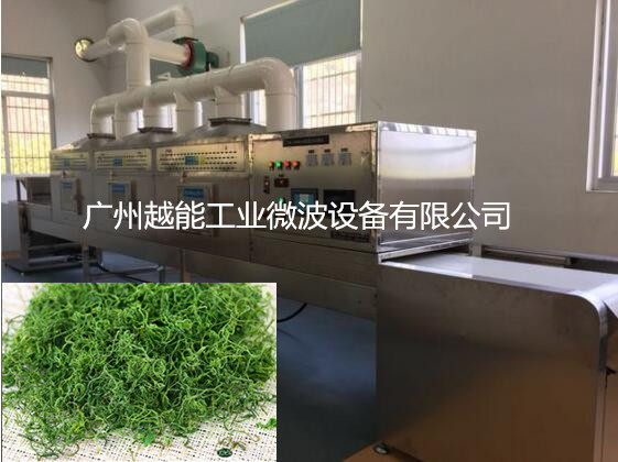 YN-20HM絞股藍(lán)茶殺青機(jī) 微波殺青工藝 連續(xù)式作業(yè)成本低