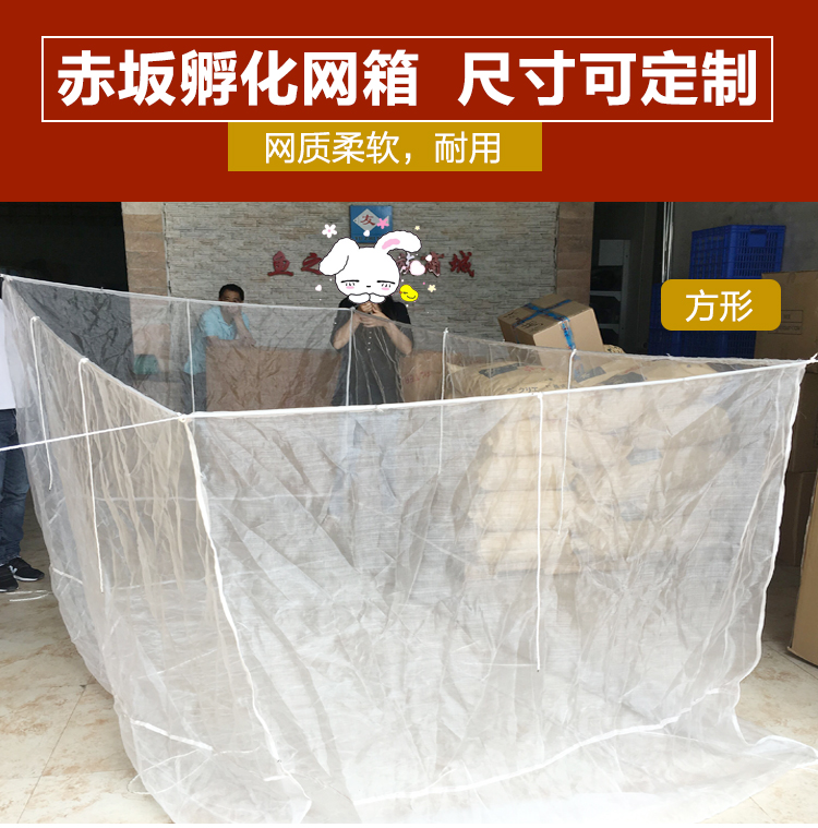 錦鯉孵化網(wǎng)箱丨赤坂牌2*2*1m丨錦鯉繁殖網(wǎng)池（可按尺寸定制）