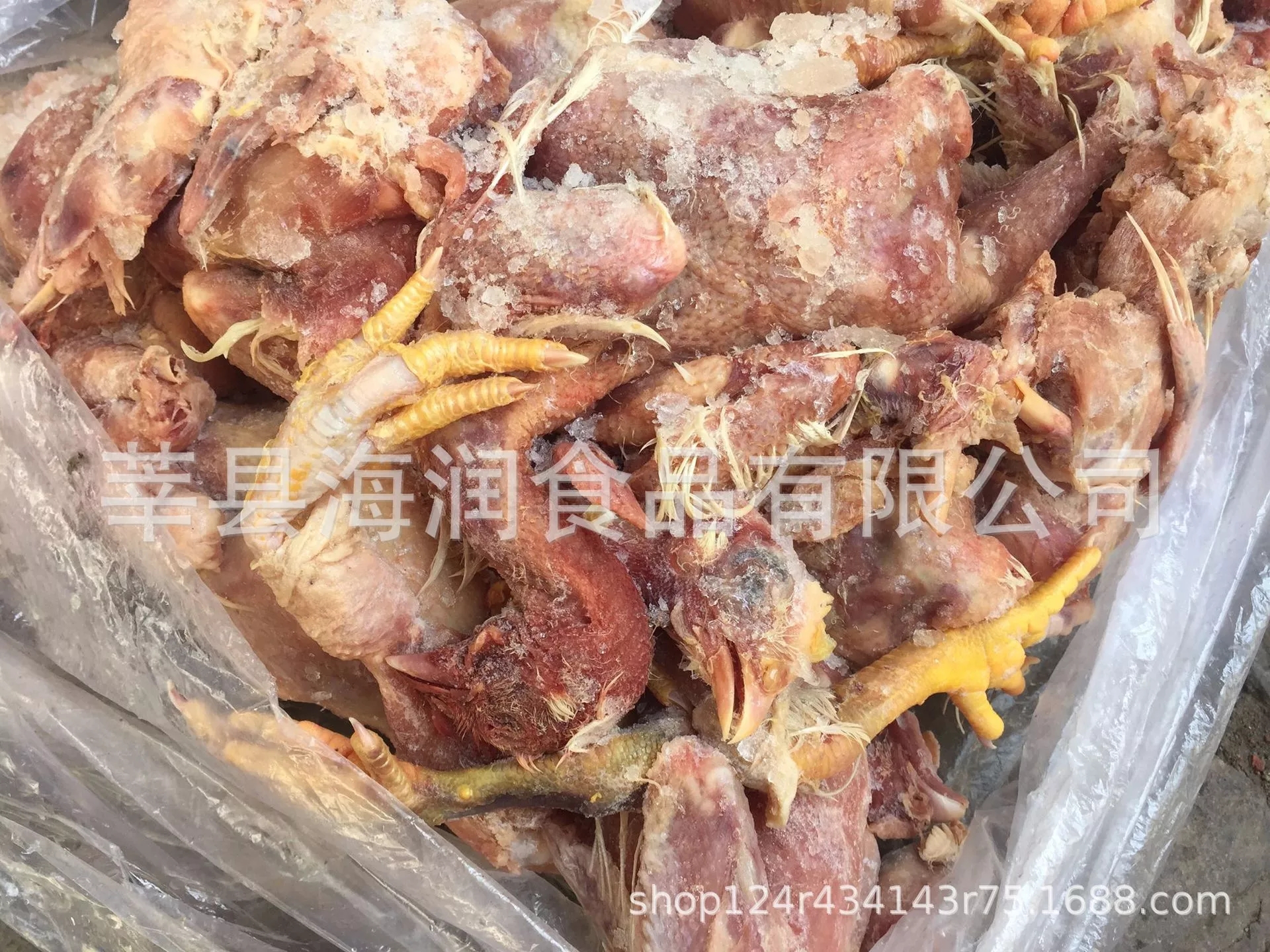次雞