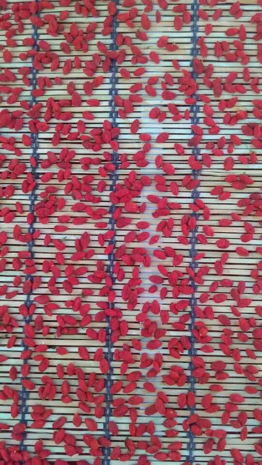 熱泵烘干機(jī)