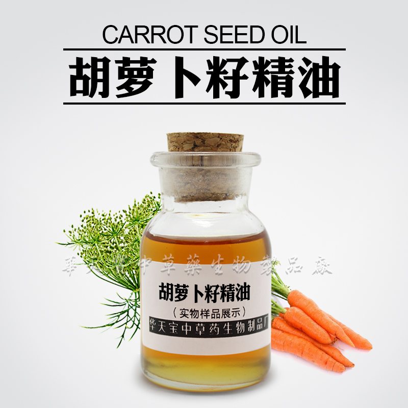 廠家供應(yīng)熱銷胡蘿卜籽精油美容日化SPA芳療養(yǎng)生按摩DIY原料廠家