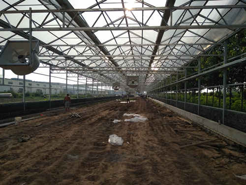 太陽能污泥干化處理 污泥干化處理系統(tǒng)