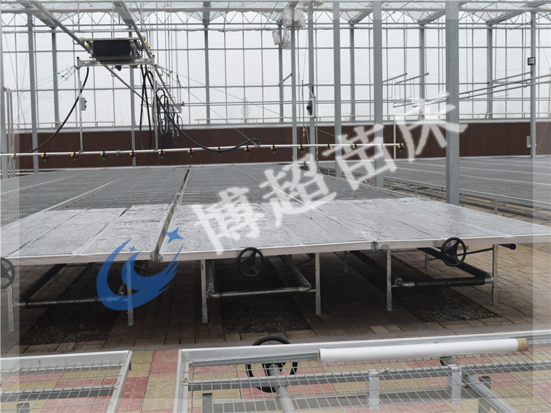 移動(dòng)苗床  潮汐苗床  育苗床