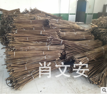 全國  蒸柳 柳條皮供應(yīng)商  紅皮柳供應(yīng)商 柳條皮廠家 蒸柳供應(yīng)商 蒸柳批發(fā) 蒸柳廠家