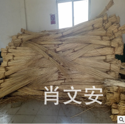 種植蒸柳條 種植蒸柳條報價 種植蒸柳條電話 種植蒸柳條批發(fā) 種植蒸柳條哪家好 種植蒸柳條供應(yīng)商