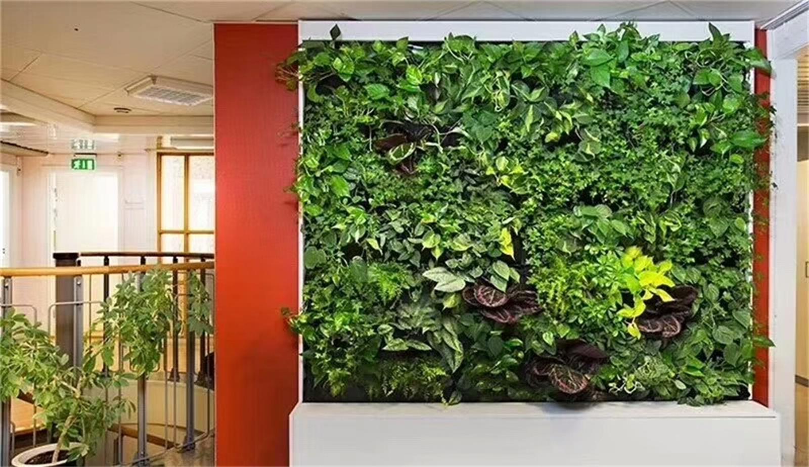 杭州楓桓綠化時尚植物墻