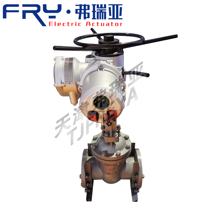 電動(dòng)法蘭閘閥 304不銹鋼 高溫高壓工業(yè)閘閥 DS/Z964Y-25I