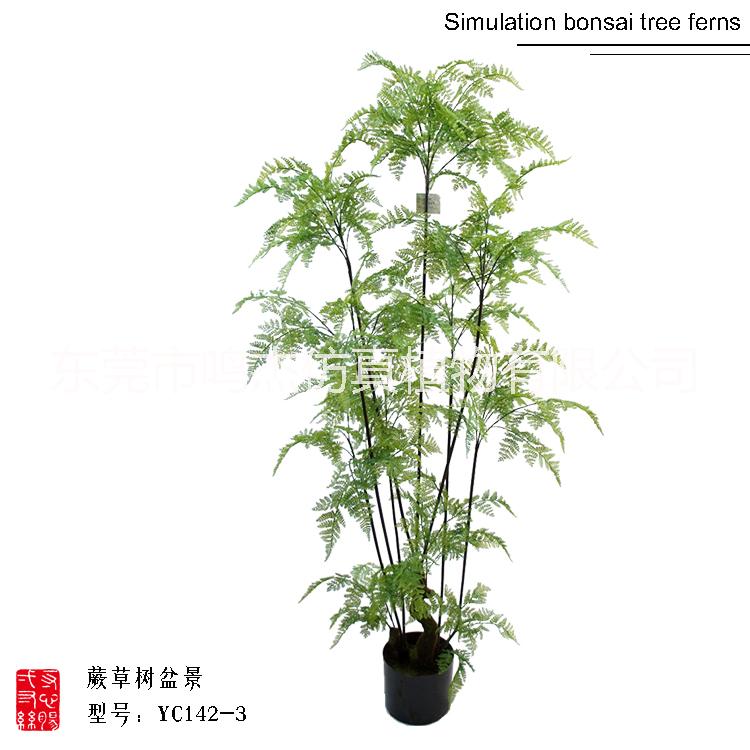 仿真波斯葉蕨草盆景羊齒蕨水杉葉巴 仿真熱帶波斯蕨草盆景 仿真波斯蕨草盆景YC142-1