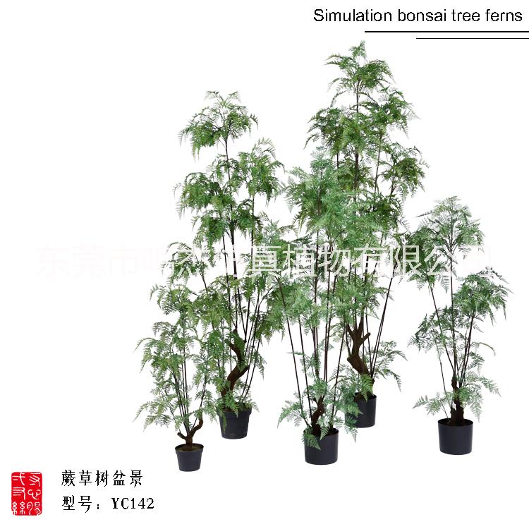 仿真波斯葉蕨草盆景羊齒蕨水杉葉巴 仿真熱帶波斯蕨草盆景 仿真波斯蕨草盆景YC142-1