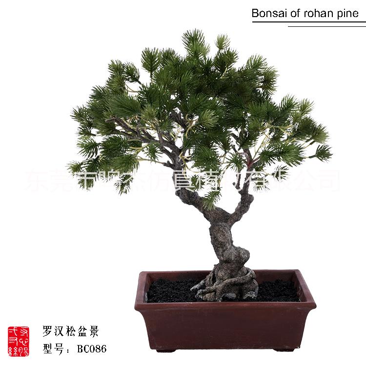 植物盆景景觀工藝品室內(nèi)庭院擺設(shè) 東莞植物盆景植物盆景生產(chǎn)廠家  仿真羅漢松盆景工藝品BC086
