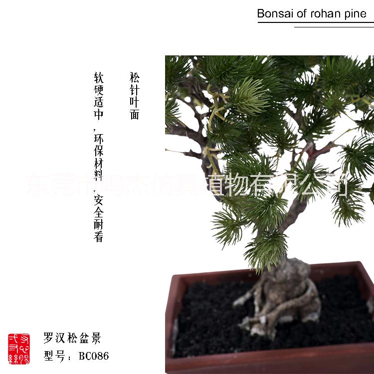 植物盆景景觀工藝品室內(nèi)庭院擺設(shè) 東莞植物盆景植物盆景生產(chǎn)廠家  仿真羅漢松盆景工藝品BC086