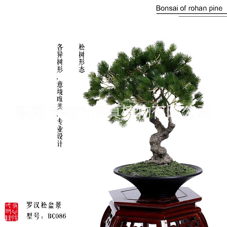 植物盆景景觀工藝品室內(nèi)庭院擺設(shè) 東莞植物盆景植物盆景生產(chǎn)廠家  仿真羅漢松盆景工藝品BC086