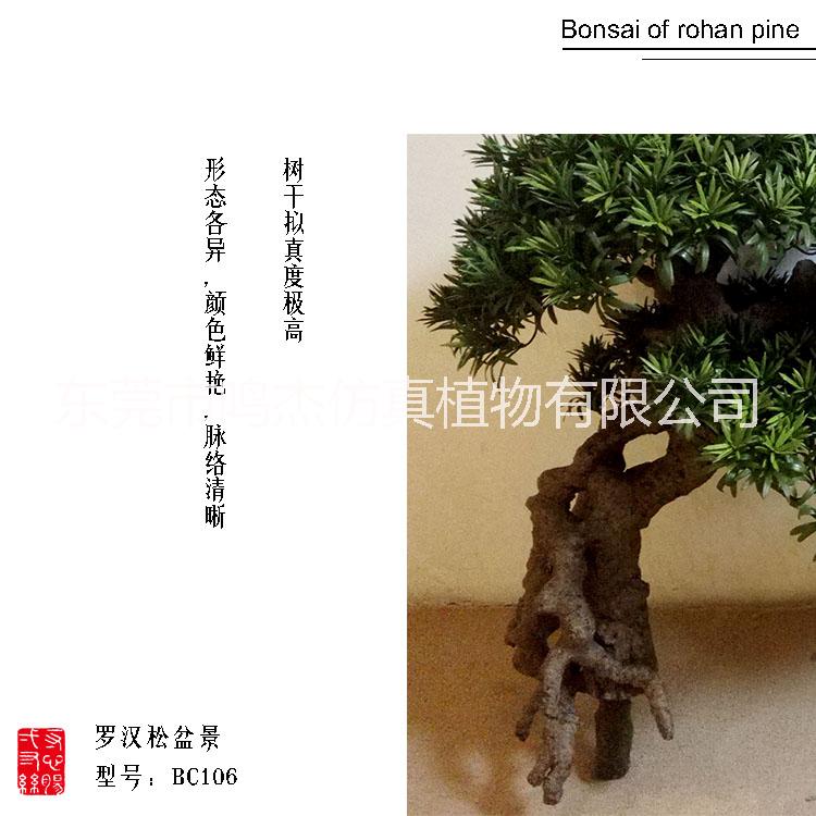 植物盆景景觀工藝品室內庭院擺設 東莞植物盆景植物盆景生產廠家  仿真羅漢松盆景工藝品BC106