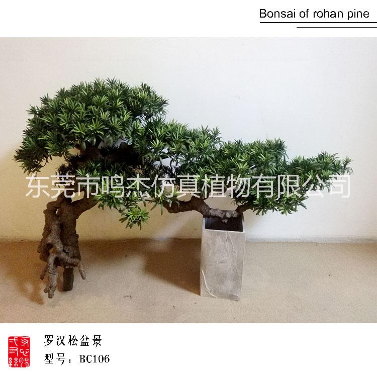 植物盆景景觀工藝品室內庭院擺設 東莞植物盆景植物盆景生產廠家  仿真羅漢松盆景工藝品BC106