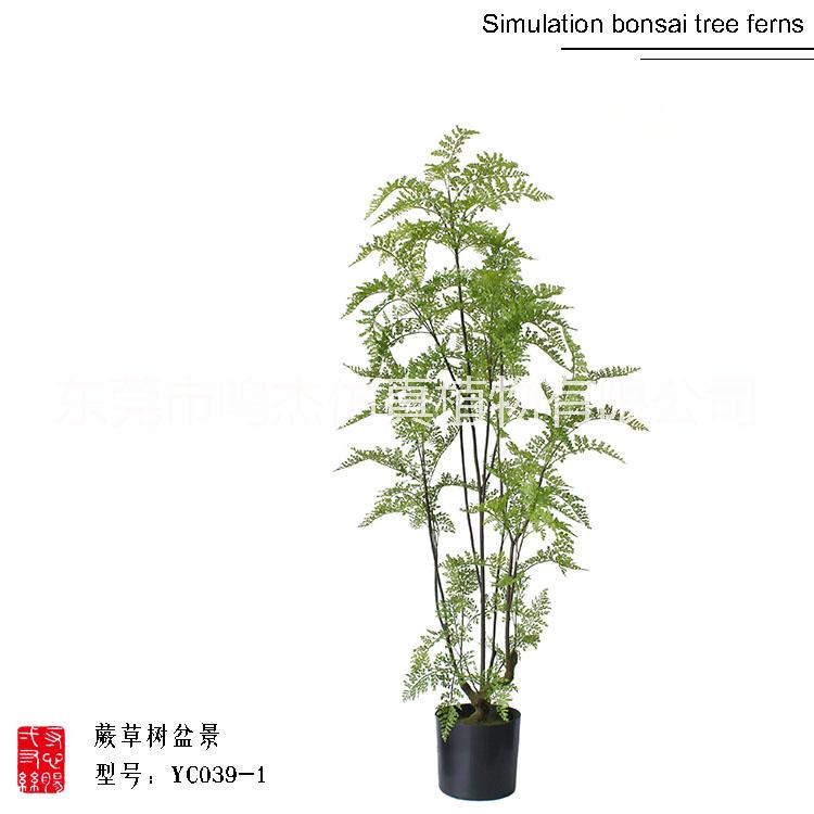 仿真波斯葉蕨草盆景羊齒蕨水杉葉巴 熱帶仿真波斯蕨草盆景 熱帶仿真波斯蕨草盆景供應商 熱帶仿真波斯蕨草盆景YC039