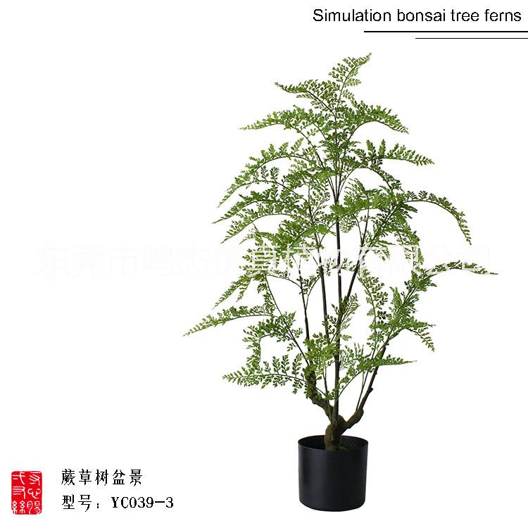 仿真波斯葉蕨草盆景羊齒蕨水杉葉巴 熱帶仿真波斯蕨草盆景 熱帶仿真波斯蕨草盆景供應商 熱帶仿真波斯蕨草盆景YC039