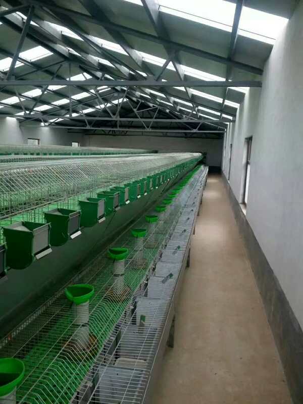 兔子籠子批發(fā)兔子窩批發(fā)兔舍批發(fā)