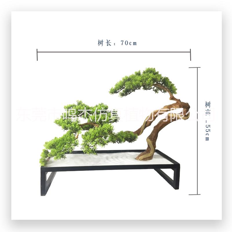 植物盆景景觀工藝品室內(nèi)庭院擺設(shè) 東莞植物盆景植物盆景生產(chǎn)廠家 仿真崖柏松工藝品 仿真崖柏松盆景BC124