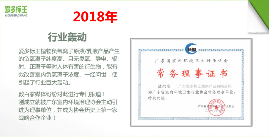 胡志標新項目負氧離子除霧霾