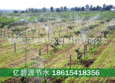 供應(yīng) 四川金口河區(qū)果樹節(jié)水灌溉管子