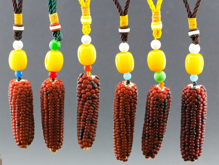 草莓玉米，菠蘿玉米，傳統(tǒng)玉米，老玉米，中國(guó)老玉米，玫瑰紅玉米，玫瑰香玉米，玫瑰玉米，玫瑰香玉米種子