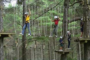 叢林探險設施_ 叢林飛躍生產(chǎn)廠家