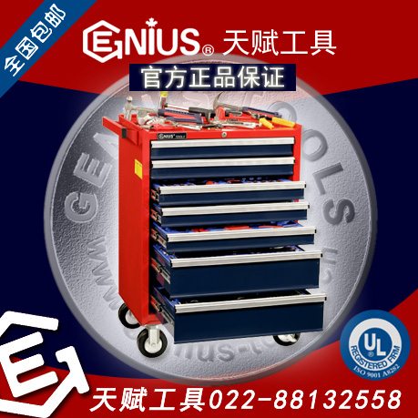 加拿大天賦工具MS-361TS 361件套公制及英制綜合工具配工具車Genius 022-88132558