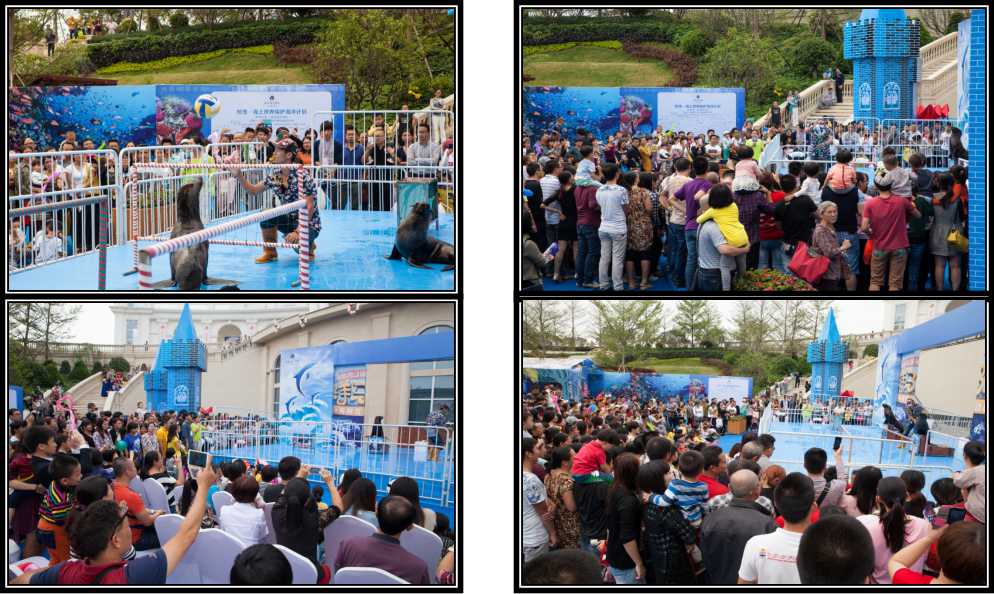 大型表演類節(jié)目美人魚表演租賃美人魚表演出租?