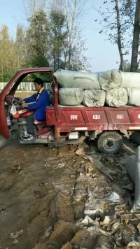 陜西漢中勉縣玉米秸稈青飼料陜西粗飼料廠家牛羊*粗飼料玉米秸稈粗飼料廠家
