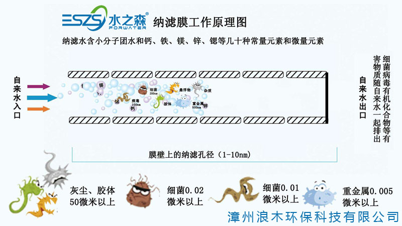 NF-A8100廠家直銷透明鋼化玻璃面板純水機(jī)家用純水機(jī)家用凈化純水機(jī)家直銷浪木凈水器  1000B NF-A8100G