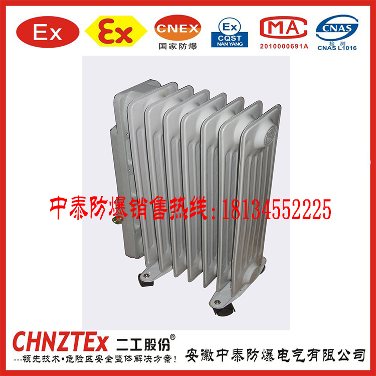 中泰生產(chǎn)電熱油汀、
