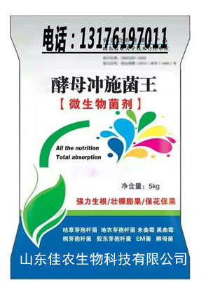 供應(yīng) 甲殼素 生物沖施肥 生根 河南 甲殼素 生物沖施肥 生根  山東 甲殼素 生物沖施肥 膨果