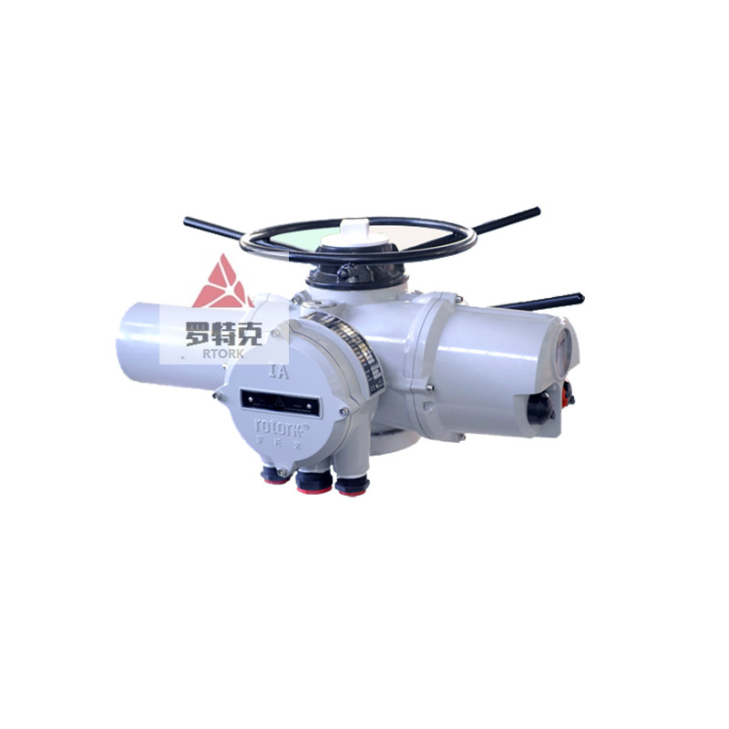 羅托克電動執(zhí)行器IA18
