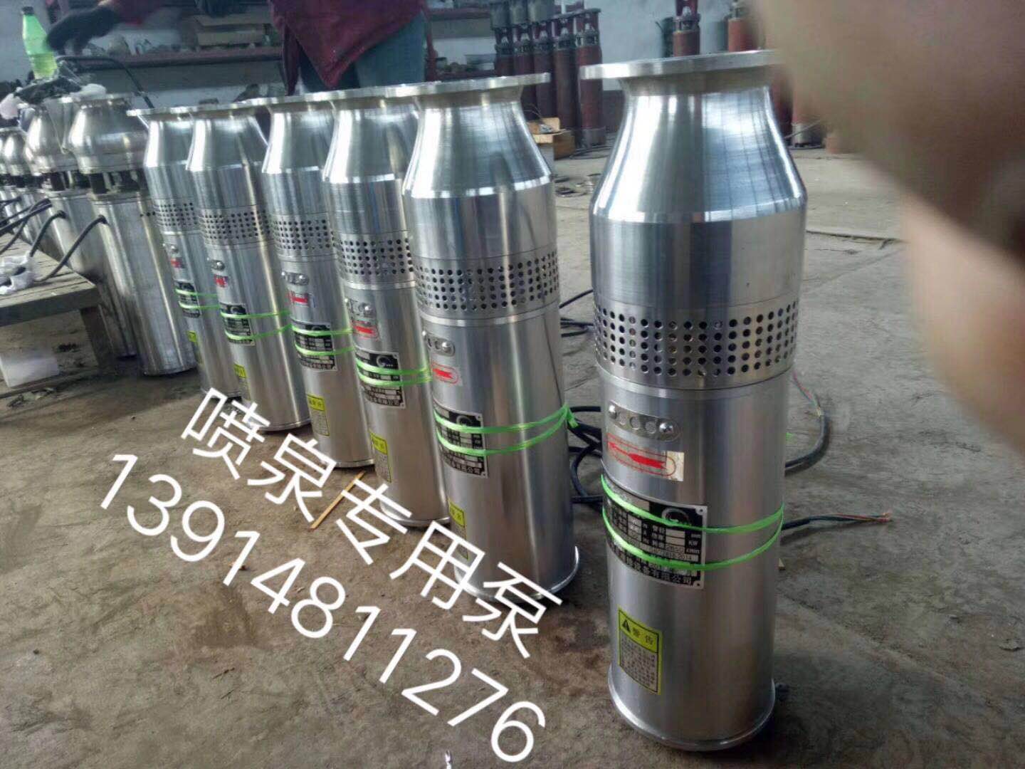 不銹鋼噴泉*潛水泵 不銹鋼噴泉*潛水泵現(xiàn)貨 定制噴泉*潛水泵