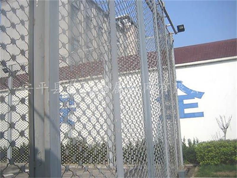 看守所梅花刺網(wǎng)-梅花刺鋼網(wǎng)墻-保護(hù)地花刺網(wǎng)護(hù)欄