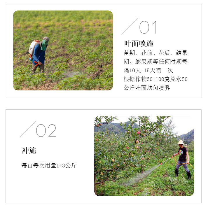 磷酸*鉀 保花保果膨大增甜