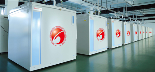 干細(xì)胞療效 儲(chǔ)存間充質(zhì)干細(xì)胞  安全可靠 干細(xì)胞保存及研究