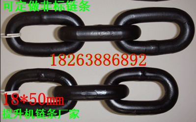 TH200環(huán)鏈提升機配件14*50*9環(huán)16mm提升機鏈條