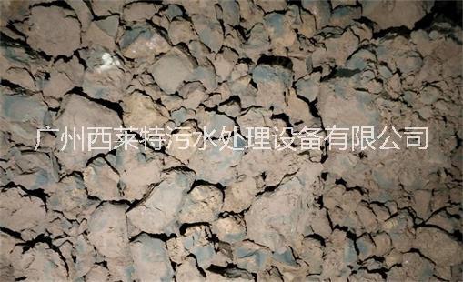 污泥低溫干化機 污泥高低溫干化機