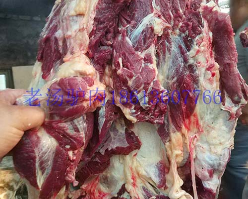 供應馬肉蒙古馬肉馬肋條