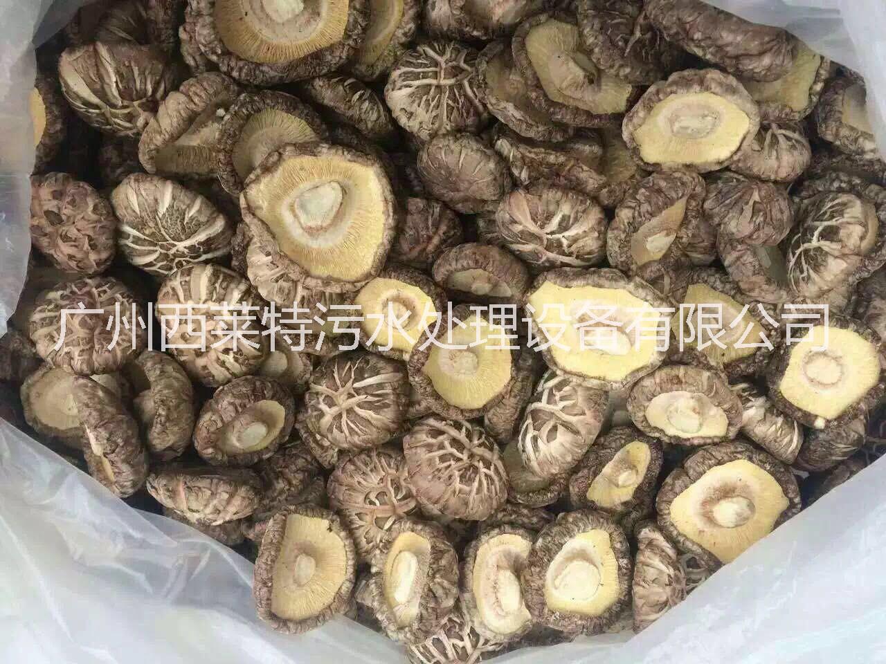 香菇熱泵烘干機(jī) 香菇空氣能烘干機(jī)
