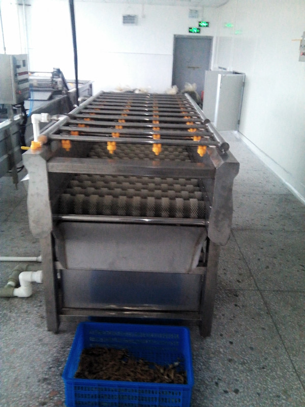 攬?jiān)鹿?yīng)MQT扇貝清洗機(jī) 果蔬清洗機(jī) 毛輥清洗機(jī)