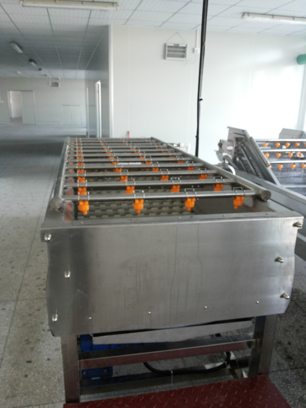 攬?jiān)鹿?yīng)MQT扇貝清洗機(jī) 果蔬清洗機(jī) 毛輥清洗機(jī)