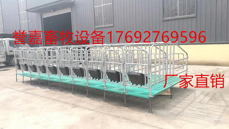 譽嘉養(yǎng)殖設備母豬分娩床