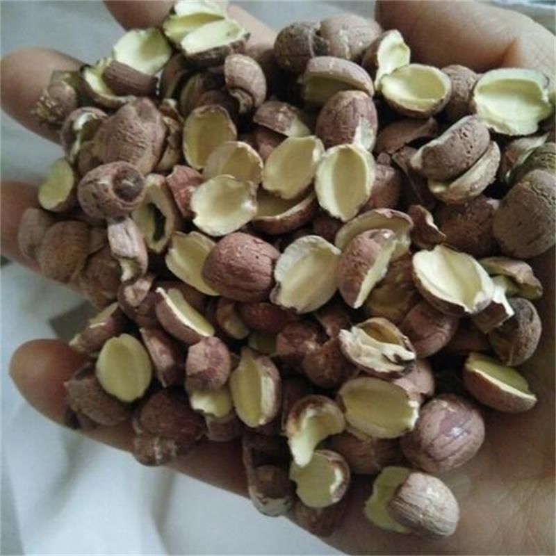 *小粒開邊紅蓮子 開邊蓮 邊紅蓮 開邊湘蓮子 寸三蓮 尚品蓮皇產(chǎn)地批發(fā)供應